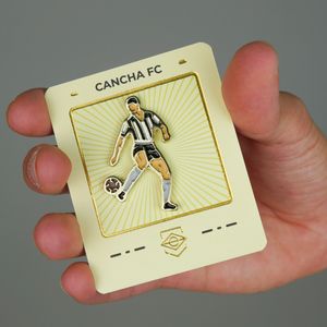 Pin Cancha FC Nilton Santos Enciclopédia