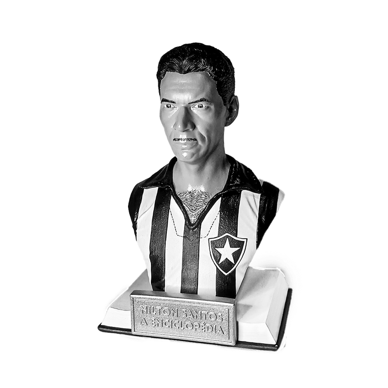 PNG - Estatua Nilton Santos_ (1).png